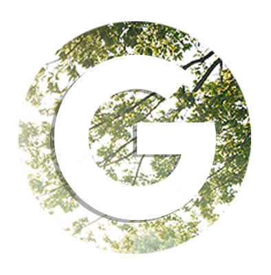 LogoGoogle